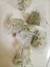 正品番泻叶天然排宿便减肥瘦身肚子独立小包装泡水喝的无添加茶包 番泻叶【划算装】 100包*1袋 实拍图