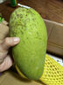 蕊鲜生攀枝花凯特芒果 9斤四川特大青芒果新鲜热带水果当季现摘 3斤A级中果【3-5两】实惠尝鲜 实拍图
