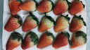 田拾记大凉山红颜奶油草莓【JD-多地次日达】九九草莓新鲜水果送礼礼盒 2盒礼盒装丨尝鲜试吃不划算 金钻级11枚装丨单果20-25g+ 甜润饱满 实拍图