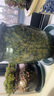 景德镇陶瓷花瓶摆件客厅插花落地高级感种花盆大复古陶罐水养中式 青铜锈蓝中号(可水培) 实拍图