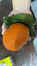 田拾记四川爱媛38号果冻橙【多地次日达】桔橘子新鲜水果送礼年货礼盒 出口级母橙丨9斤彩箱 更甜更多汁丨净8.5斤 中果丨单果70mm+丨甜偏小 实拍图