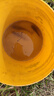 臻佑（Grsaed）七星漂主线组传统钓豆漂绑好隐水鱼线高灵敏野钓成品线组套装3卷 0.5#千又朝天钩5.4米1.0号线 实拍图