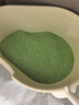贪玩小狗豆腐猫砂除臭猫沙豆腐砂豆腐渣低尘结团吸水可冲厕所 绿茶豆腐猫砂5kg(10斤装) 实拍图