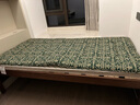 罗莱家纺 床垫床褥子 硬质棉榻榻米软垫子 学生宿舍床护垫 1.0米床 实拍图