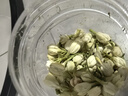 芝萱堂广西横县茶叶 花苞干花浓香型特级新小包装茉莉 【2罐】茉莉花苞 实拍图