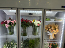 煦雪 鲜花保鲜柜花店冷藏风冷无霜立式花艺花柜鲜花店商用节能高端展示柜冰箱冰柜 三门白色鲜花保鲜柜 实拍图