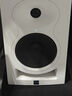K&LKali LP6 V2 IN5 IN8 V2 lp8专业监听音箱 双分频三分频同轴音响 LP6 V2白色（赠音箱垫+线）单只 实拍图