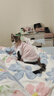 智宙猫咪衣服保暖秋冬季布偶猫背心绒衣宠物小型犬狗狗小猫幼猫防掉毛 高品质兔毛绒-粉色 L (6-9斤内) 实拍图
