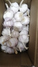 千封河南2025新蒜新干蒜多瓣蒜大蒜头紫皮大蒜批发 大蒜 2斤 实拍图