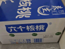 养元六个核桃 精品型低糖核桃乳饮料 240ml*24罐 整箱装 实拍图