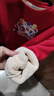 Classic Teddy精典泰迪童装儿童加绒卫衣男女童加厚保暖上衣百搭冬装 大红 150  实拍图