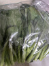 【高原夏菜】 菜心苗250g 实拍图