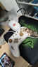 盖世小鸡（GAMESIR）启明星古剑奇谭联名无线游戏手柄 switch2手柄手机安卓苹果Steam电脑NS2pro电视特斯拉黑神话悟空 实拍图