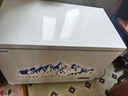 雪人兄弟冰柜商用家用冷柜卧式大容量冷藏冷冻两用冰柜 【深寒纪元系列】350升丨1.10米丨一级能效 铜管制冷丨180天只换不修 实拍图