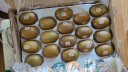 佳沛（zespri）金奇异果18粒超大果原箱猕猴桃单果173-204g 端午节礼盒 实拍图