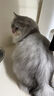 鲜朗低温烘焙猫粮冻干生骨肉天然无谷幼猫成猫全阶段鲜郎换粮试吃试用 烘焙猫粮鱼肉试吃装 100g(尝鲜装50g*2包) 实拍图