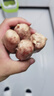 京东京造90%黑猪鲜肉肠900g 纯黑猪肉烤肠配料极简不含淀粉鸡肉 实拍图