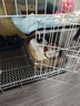 憨憨宠猫笼折叠猫笼子大号猫别墅加粗加密双层猫舍猫窝宠物猫咪用品家用 白色 700双层 实拍图
