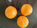囍成双美国新奇士橙黑标3107脐橙大果sunkist进口橙子美橙水果整箱送礼 精品5斤【礼盒装】 实拍图