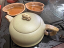 承韵尚樽宜兴纯全手工紫砂壶名家正宗柱础壶豆青砂绞泥泡茶壶单壶茶具套装 豆青砂狮貅280cc【一壶二杯】 实拍图