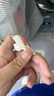 芭蕾风甜美蝴蝶结发卡高级感发饰头饰长毛猫猫狗狗装饰发卡 【新人专享】蝴蝶结发夹-白色-1 1个 实拍图