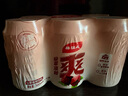 杨协成清凉爽仙草凉粉植物饮料 300ml*6罐 粒粒爽滑 火锅烤肉好搭子 实拍图