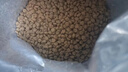 好主人（CARE）金装好主人猫粮2.0 无谷猫粮 全价成猫通用 80%含肉量10kg/20斤 实拍图