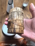 花翁巴西木格鲁特水养幸运木水培盆栽办公室内阳台花卉绿植物源头直发 实拍图