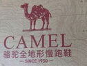 骆驼（CAMEL）碳zero风速2全地形慢跑步女鞋运动鞋子 X25B09L7018 黑/寒冷灰 40 实拍图
