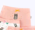 猫人儿童内裤女童4条装棉平角小女孩四角宝宝女中大童棉短裤不夹pp 428瓶罐猫咪 4条 140 实拍图