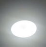 拉伯塔无线遥控灯led吸顶灯卧室三色变光无极调光2025年新款中山灯具 直径37cm  36W  带遥控器 白壳-全光谱防蓝光 实拍图