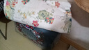 富安娜出品馨而乐床上四件套200x230cm被套单件 印花床单被罩三件套床品 清语【柔软舒适 清爽透气】 1.8米床-单件被套 床单款 230*229cm 实拍图