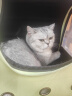 喵先生猫包外出大号宠物包太空舱猫咪背包便携包猫狗双肩包猫包车载箱包 牛油果绿 实拍图