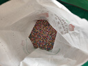 绿族彩色陶粒花用垫底铺面石盆栽透气水培花卉多肉营养土种花陶土粒球 实拍图