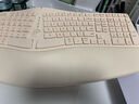 B.O.W人体工程学三模无线蓝牙键盘垂直鼠标套装软垫手托可充电笔记本电脑外设台式静音办公游戏打字键鼠 人体工学三模键盘丨奶茶色丨108键充电款 实拍图