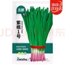 北蔬 韭菜种子苗宽叶紫红根独根红四季蔬菜籽 紫根1号种子100g(大袋) 实拍图
