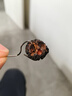 尼泊尔藏式大金刚菩提手串机刷文玩手串菩提子汽车挂件档位珠手链 金刚1.8cmx14颗 实拍图