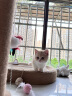 珍宠星球剑麻猫抓板耐磨不掉屑耐抓全剑麻猫爪板猫窝一体猫咪磨爪板超大号 实拍图
