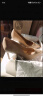 CHARLES&KEITH简约通勤尖头高跟鞋子女鞋休闲单鞋生日礼物女CK1-60280245-1 Nude肉色 38 实拍图