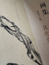 经典全集 八大山人画集 8开中国画临摹画册书籍写意水墨国画山水花鸟鱼虫技法教材高清册页 朱耷花卉禽鸟名作赏析鉴赏 杨建飞主编京东618活动 实拍图