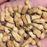 承义堂玳玳花50g 茶叶 无硫回青橙枳壳花酸橙花花草代代花茶 实拍图