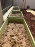 爱丽思花盆托盘塑料彩色树脂盆托接水盘树脂 配730种植盆 实拍图