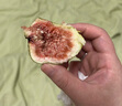 沐小七果蔬云南无花果鲜果5斤【顺丰-多地次日达】现摘红青紫皮端午水果礼盒 A+级大果|单果40-45g【狠甜】 1斤【贵在运费】 净0.9 实拍图