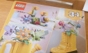 乐高（LEGO）积木拼装31149 鲜花洒水壶男孩女孩儿童玩具母亲节礼物 实拍图