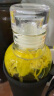 南同四海南京同仁堂 金丝皇菊2罐48朵 黄菊花胎菊茶特级大朵贡菊护肝 一杯一朵 安徽黄山道地原产 实拍图