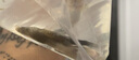 卡奇鱼 孔雀鱼 凤尾鱼 胎生鱼 热带观赏鱼淡水活体鱼小型鱼纯种好养易活 杂袍孔雀鱼4条+1条备损 实拍图