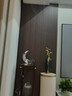 实木小长城格栅板背景墙客厅电视墙装饰板凹凸型生态木隔断护墙板 银梨 长2.75m 宽14.7cm【现货速发】 实拍图