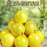 黄金钦蜜九号百香果 甜口 皱皮更甜不影响食用发货带青色 5个小果单果30-45g 黄金钦蜜九号百香果 实拍图