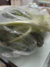 绿食者 新鲜西兰花500g 青花菜 绿花菜 花椰菜 时令蔬菜 实拍图