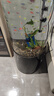 可丽爱（CLEAIR）Cleair可丽爱LS-Y1椭圆Y2圆柱鱼缸水族箱客厅家用亚克力鱼缸 LS-Y2圆柱 黑色*城区送货入户 LS-Y2(智能遥控,变色LED灯)直径48圆柱 晒单实拍图